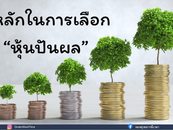 3 หลักในการเลือก “หุ้นปันผล”